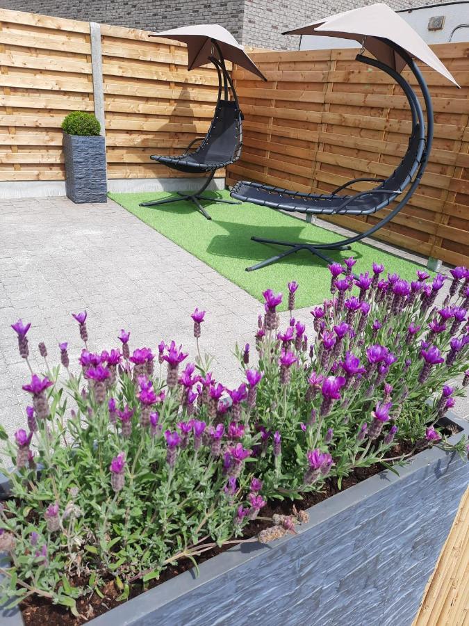 Guesthouse 66 Lommel Exterior foto